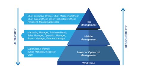 The Management .